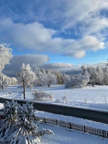 Ferienwohnung Harzblick 4 Braunlage Exteriér fotografie